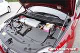Engine Hood Damper - Lexus CT 200h - Carbon